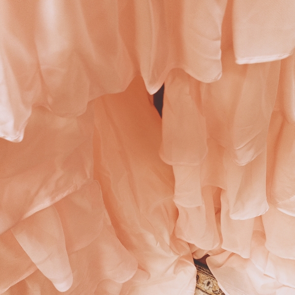 Source Unknown Blush Ruffled Prom Gown - Picture 7 of 14